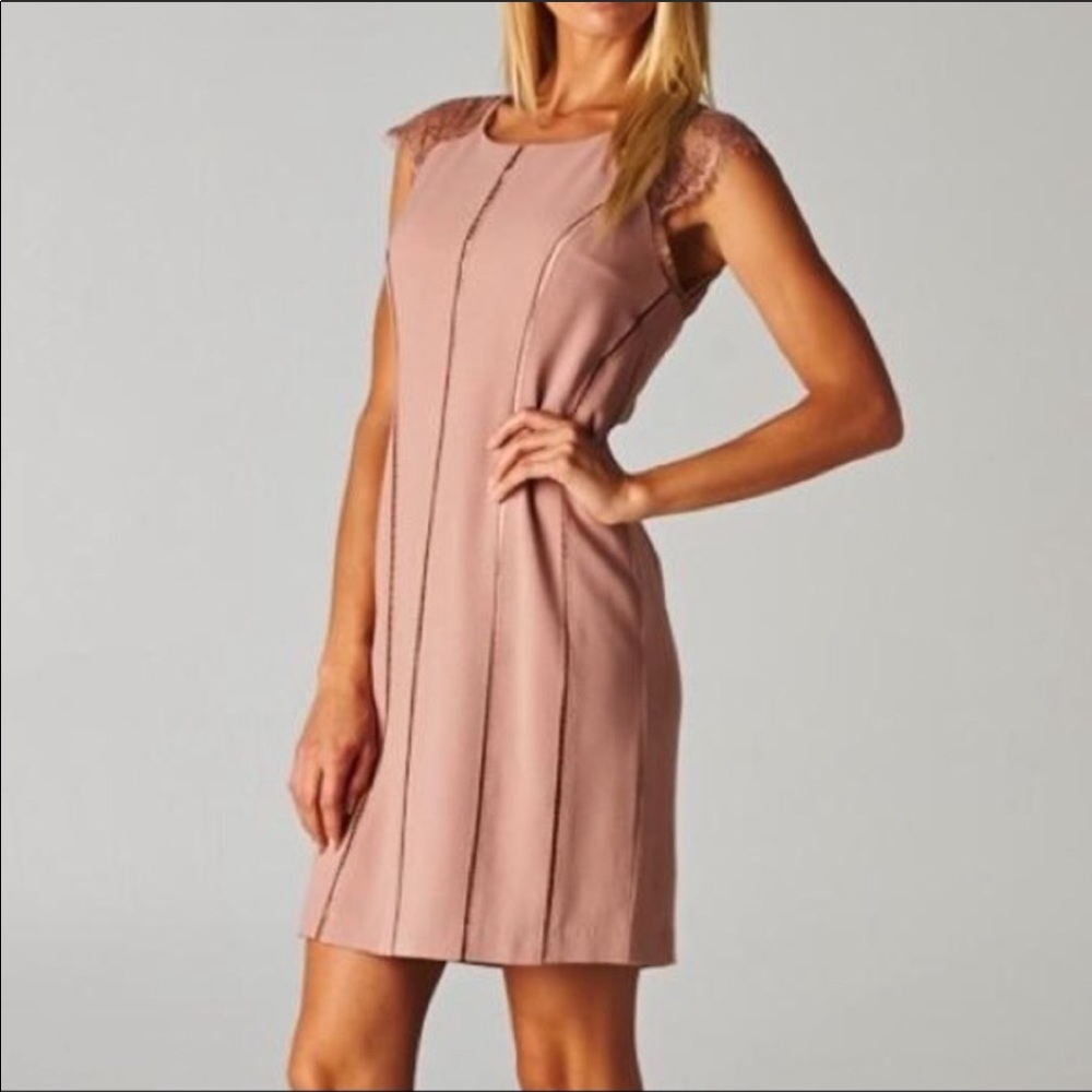 Esley Mauve Pink Lace Sleeve Short Dress